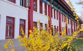 竹外桃花三两枝 春江水暖鸭先知