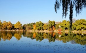 燕园的秋天